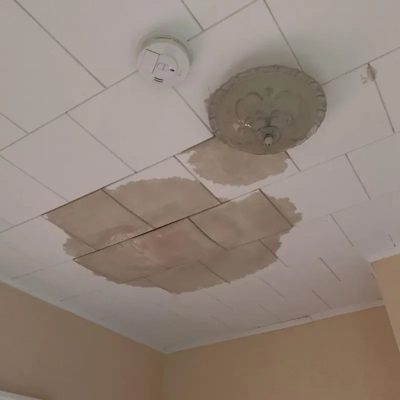 Ceiling Water Damage Repair in McMillin, WA