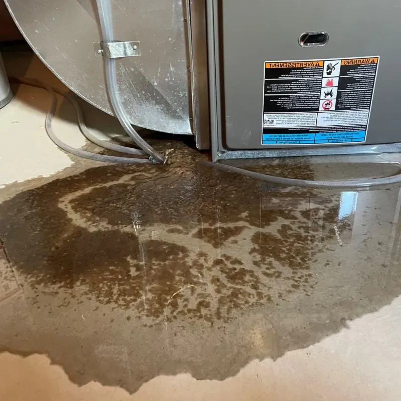 Pipe Burst and Leak Restoration in McMillin, WA