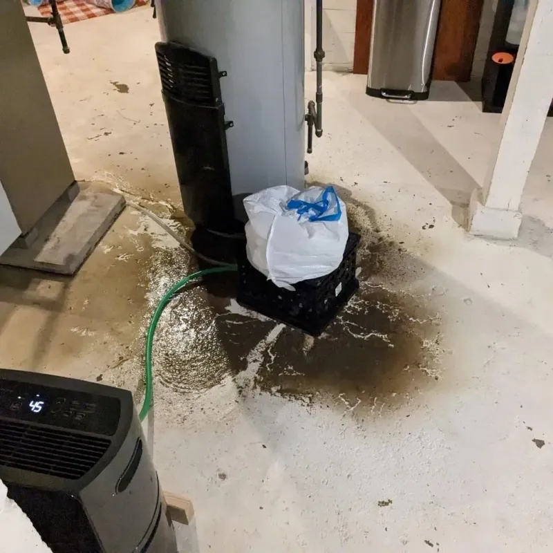 Sewage Backup Cleanup Service in McMillin, WA
